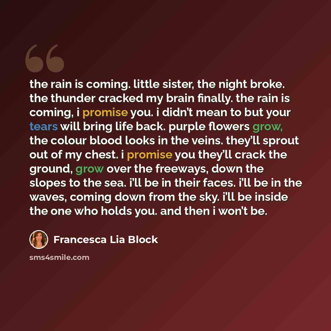 “the rain is coming. little sister, the night broke. the thunder cracked my brain finally. the rain is coming, i promise you. i didn’t mean to but your tears will bring life back. purple flowers grow, the colour blood looks in the veins. they’ll sprout out of my chest. i promise you they’ll crack…” quote by Francesca Lia Block