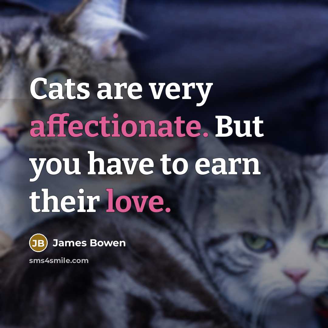 “Cats are very affectionate. But you have to earn their love.” quote by James Bowen