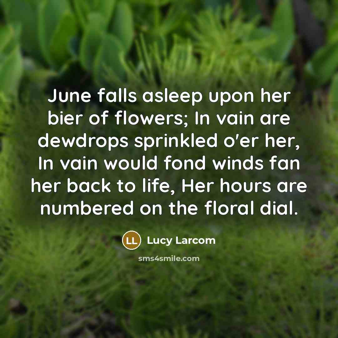“June falls asleep upon her bier of flowers; In vain are dewdrops sprinkled o'er her, In vain would fond winds fan her back to life, Her hours are numbered on the floral dial.” quote by Lucy Larcom