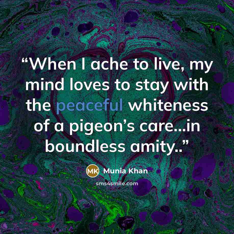 “When I ache to live, my mind loves to stay with the peaceful whiteness of a pigeon’s care...in boundless amity..” quote by Munia Khan