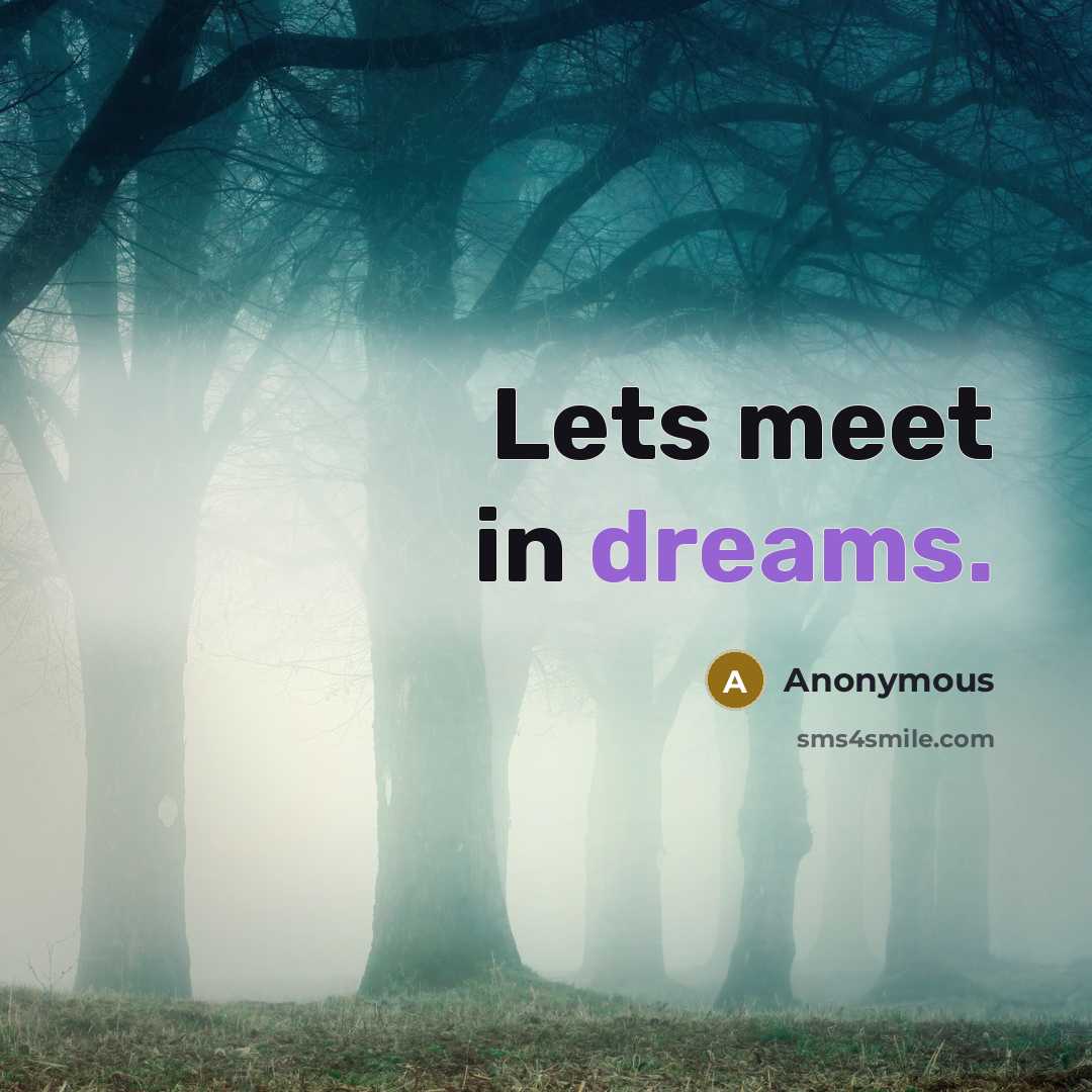 “Lets meet in dreams.” quote by Anonymous