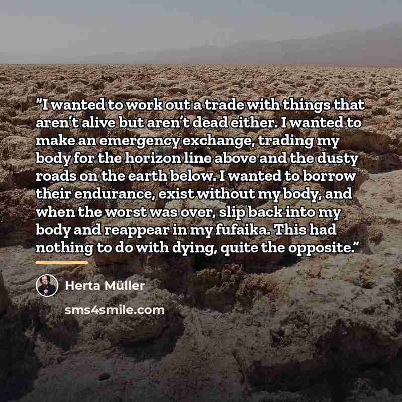 “I wanted to work out a trade with things that aren’t alive but aren’t dead either. I wanted to make an emergency exchange, trading my body for the horizon line above and the dusty roads on the earth below. I wanted to borrow their endurance, exist without my body, and when the worst was over, slip…” quote by Herta Müller