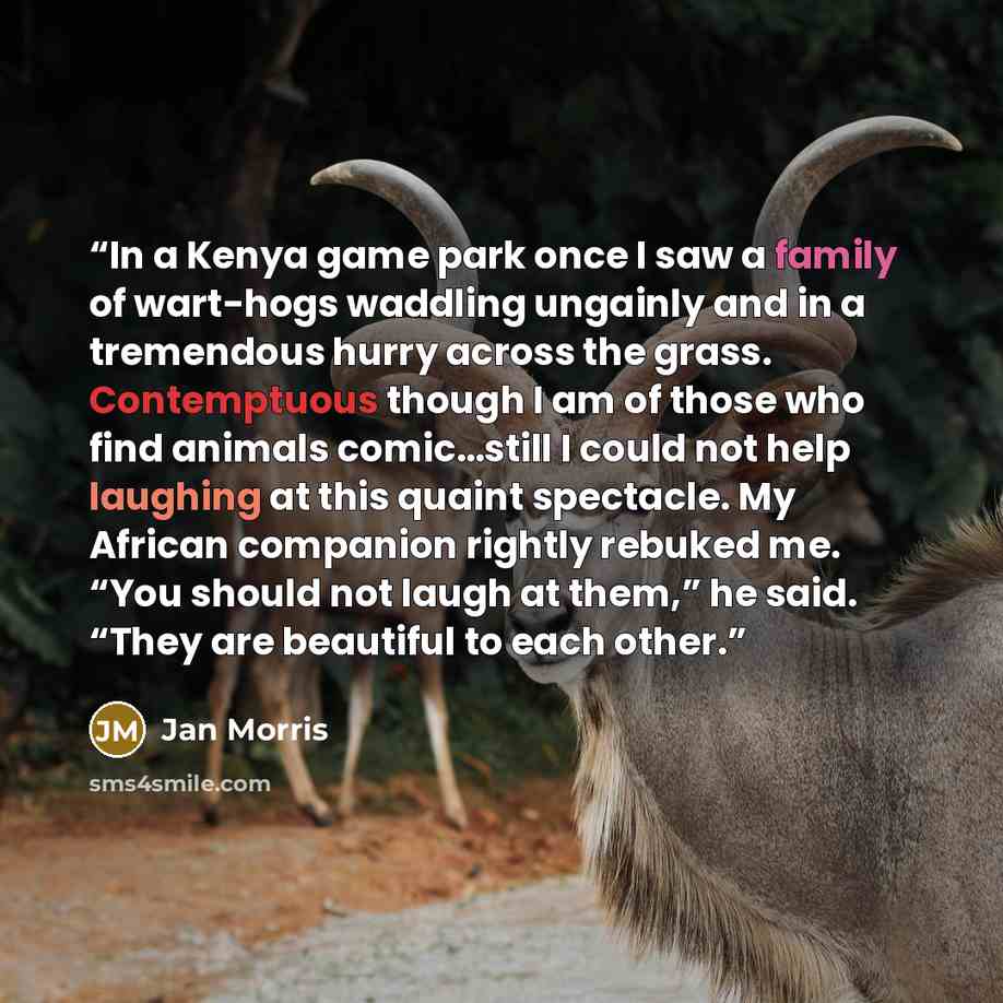 “In a Kenya game park once I saw a family of wart-hogs waddling ungainly and in a tremendous hurry across the grass. Contemptuous though I am of those who find animals comic…still I could not help laughing at this quaint spectacle. My African companion rightly rebuked me. “You should not laugh at…” quote by Jan Morris