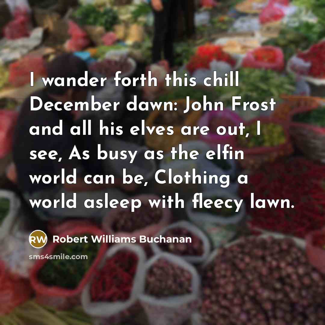 “I wander forth this chill December dawn: John Frost and all his elves are out, I see, As busy as the elfin world can be, Clothing a world asleep with fleecy lawn.” quote by Robert Williams Buchanan