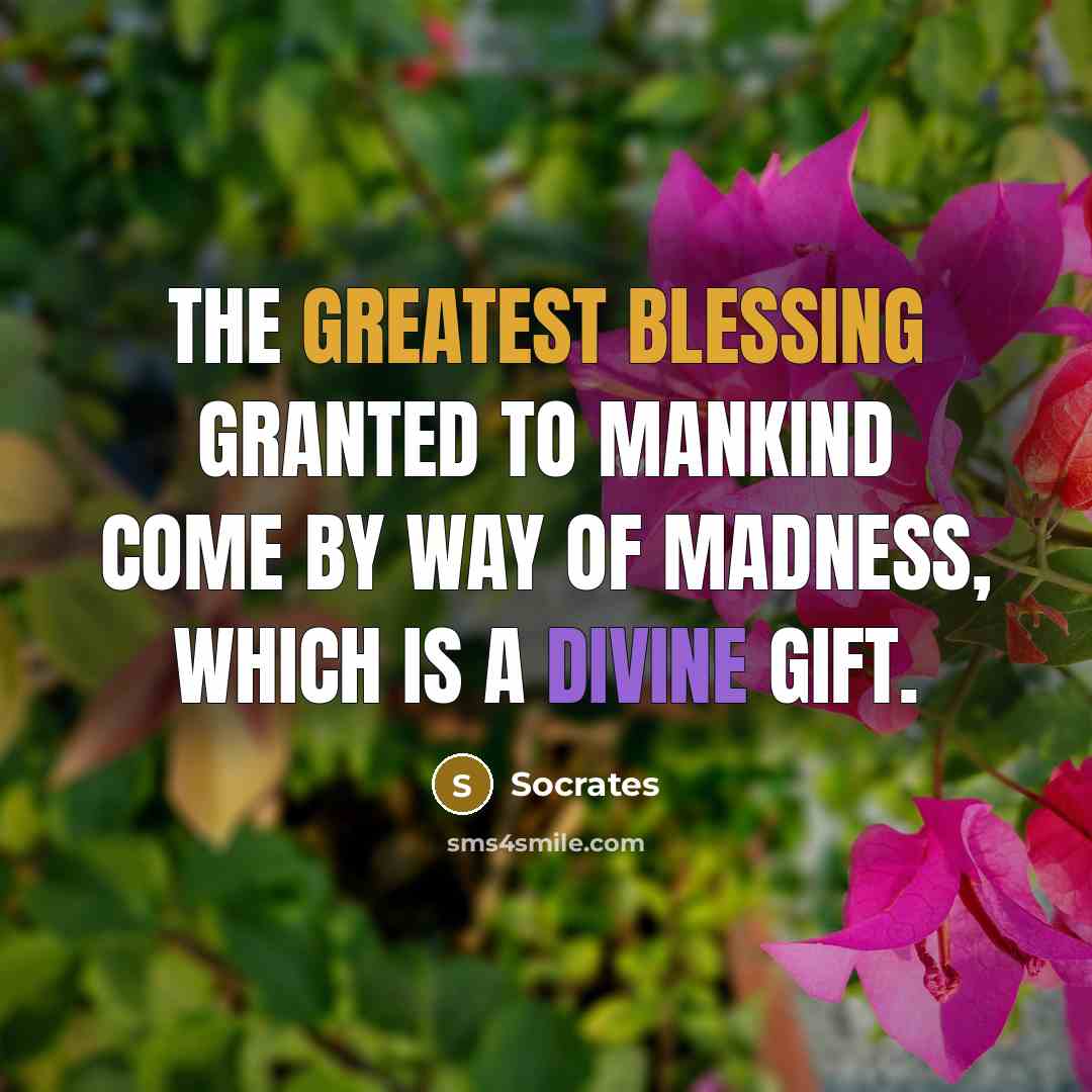 “The greatest blessing granted to mankind come by way of madness, which is a divine gift.” quote by Socrates