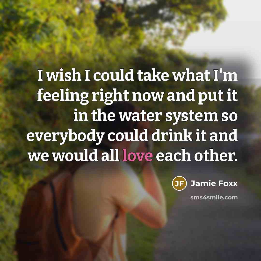 “I wish I could take what I'm feeling right now and put it in the water system so everybody could drink it and we would all love each other.” quote by Jamie Foxx