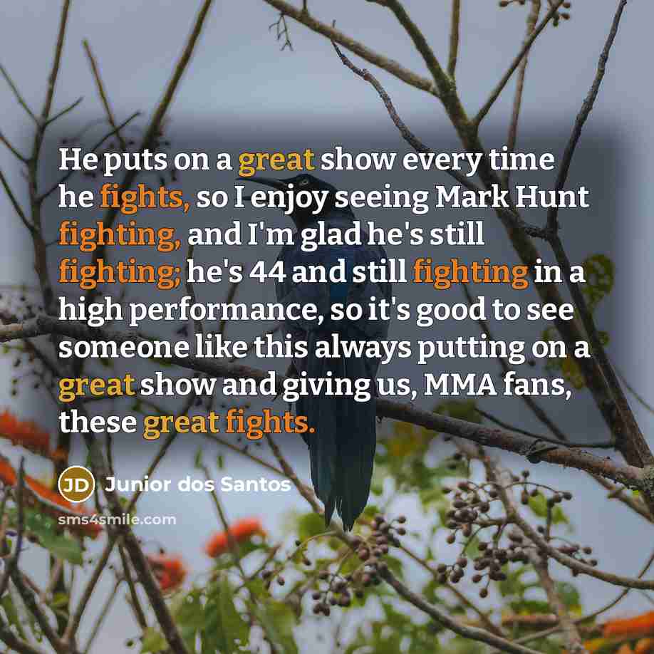 “He puts on a great show every time he fights, so I enjoy seeing Mark Hunt fighting, and I'm glad he's still fighting; he's 44 and still fighting in a high performance, so it's good to see someone like this always putting on a great show and giving us, MMA fans, these great fights.” quote by Junior dos Santos