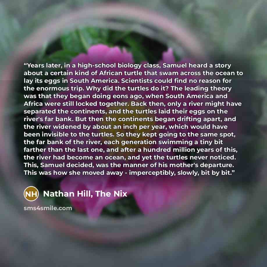 “Years later, in a high-school biology class, Samuel heard a story about a certain kind of African turtle that swam across the ocean to lay its eggs in South America. Scientists could find no reason for the enormous trip. Why did the turtles do it? The leading theory was that they began doing eons…” quote by Nathan Hill, The Nix