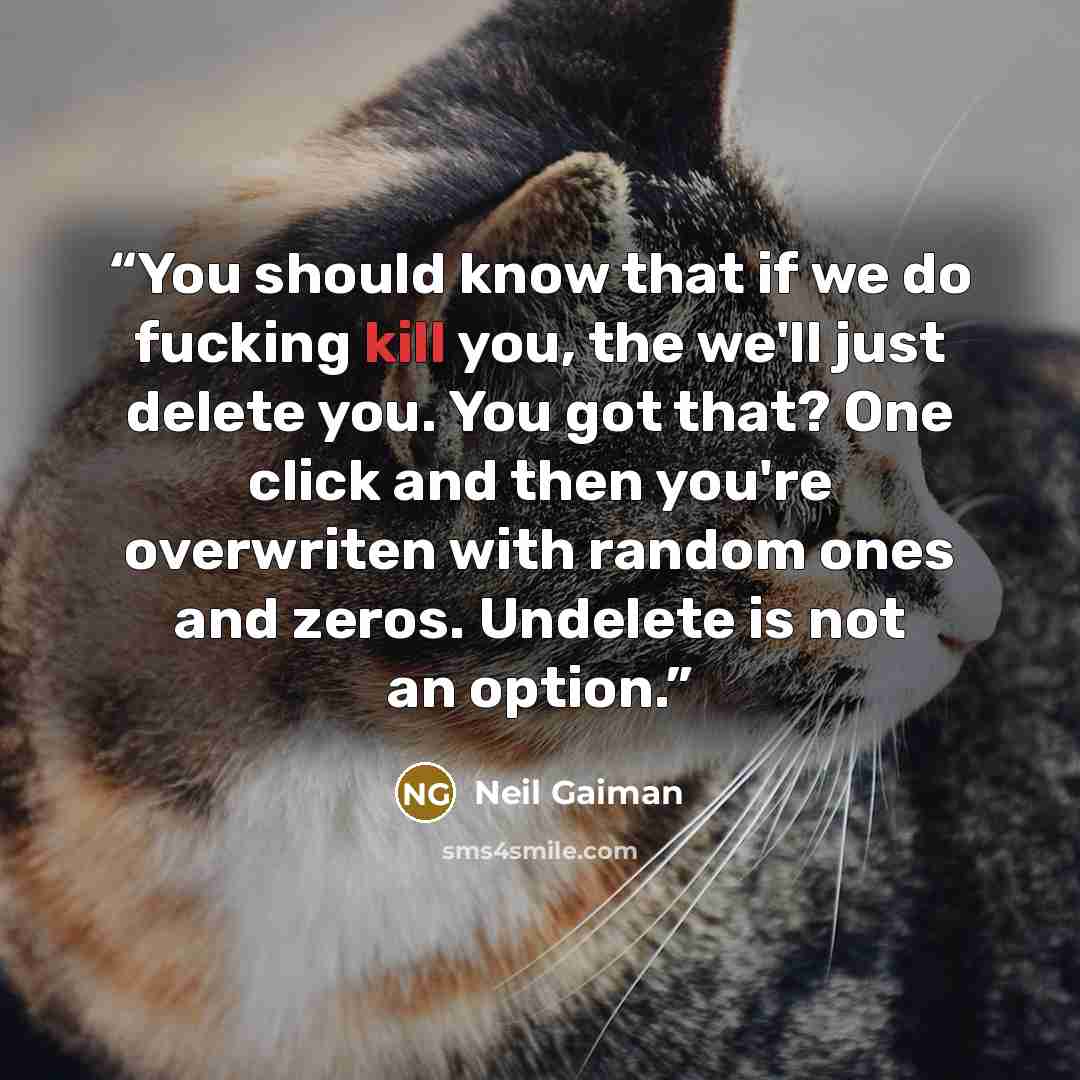“You should know that if we do fucking kill you, the we'll just delete you. You got that? One click and then you're overwriten with random ones and zeros. Undelete is not an option.” quote by Neil Gaiman