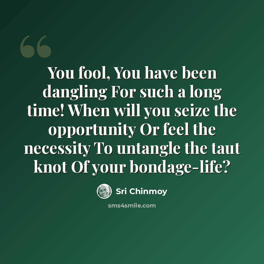 “You fool, You have been dangling For such a long time! When will you seize the opportunity Or feel the necessity To untangle the taut knot Of your bondage-life?” quote by Sri Chinmoy