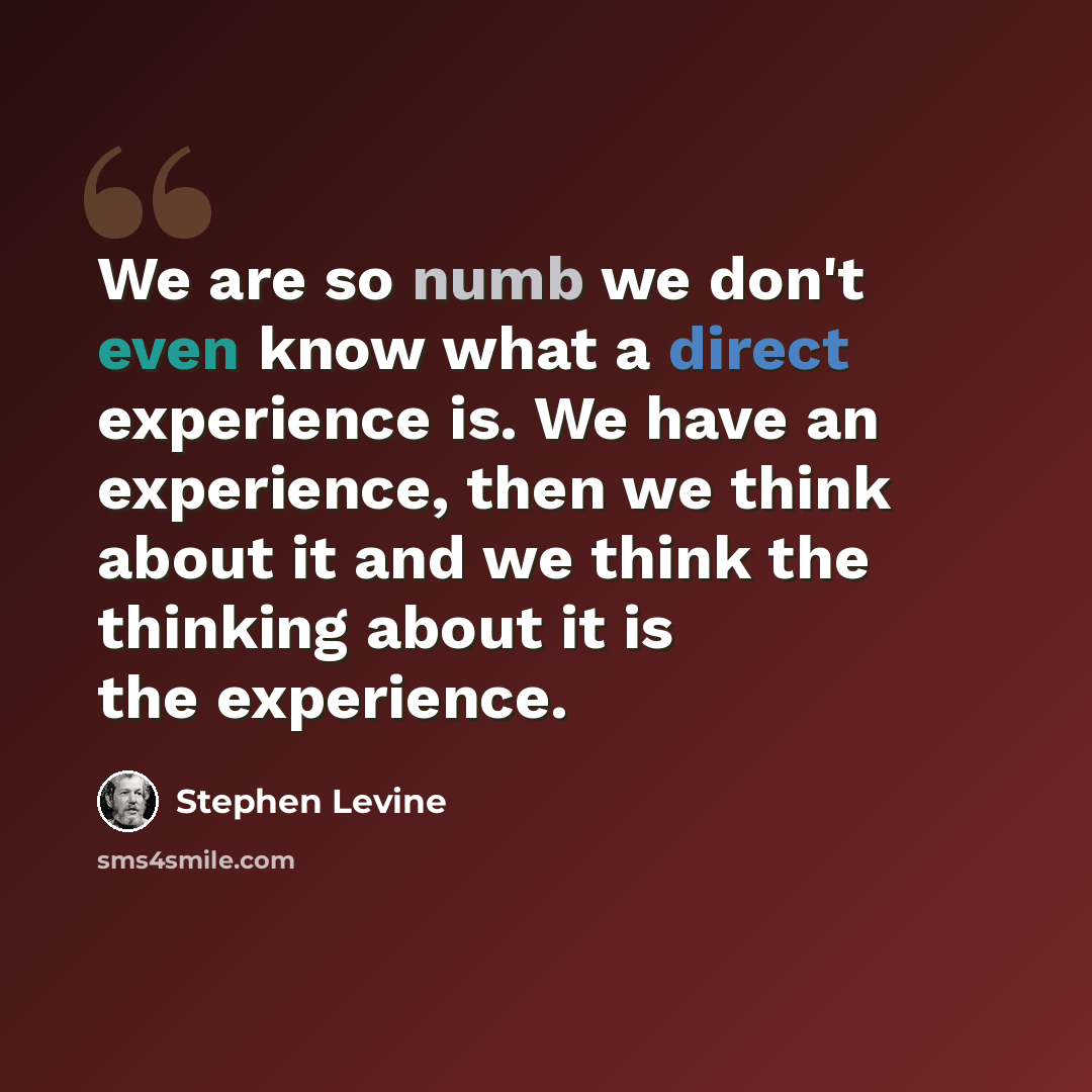“We are so numb we don't even know what a direct experience is. We have an experience, then we think about it and we think the thinking about it is the experience.” quote by Stephen Levine