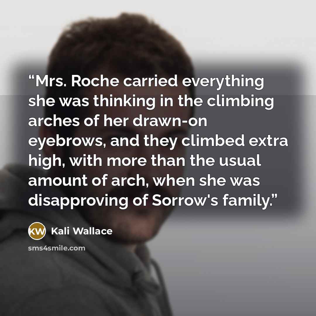 “Mrs. Roche carried everything she was thinking in the climbing arches of her drawn-on eyebrows, and they climbed extra high, with more than the usual amount of arch, when she was disapproving of Sorrow's family.” quote by Kali Wallace