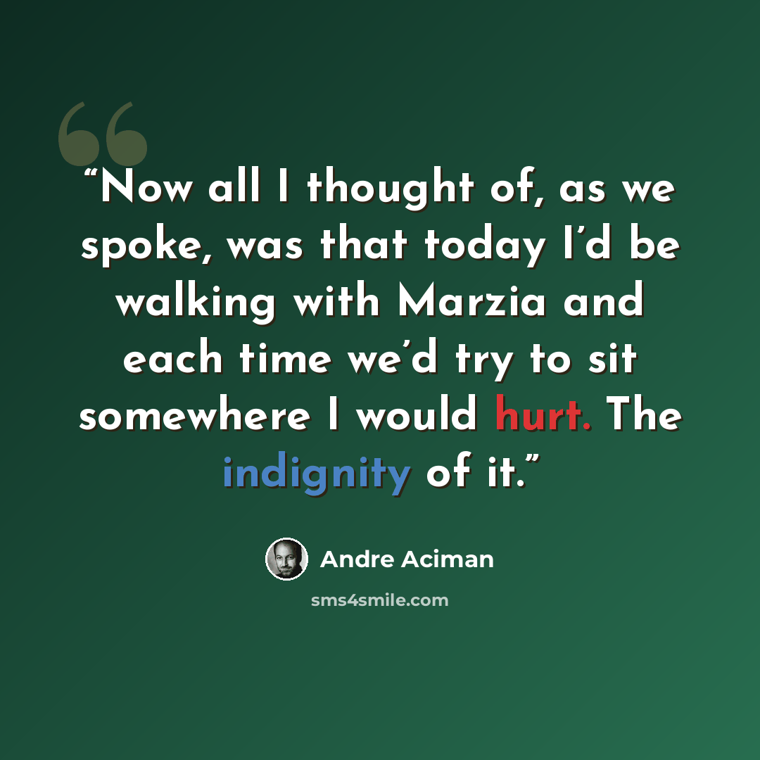 “Now all I thought of, as we spoke, was that today I’d be walking with Marzia and each time we’d try to sit somewhere I would hurt. The indignity of it.” quote by André Aciman