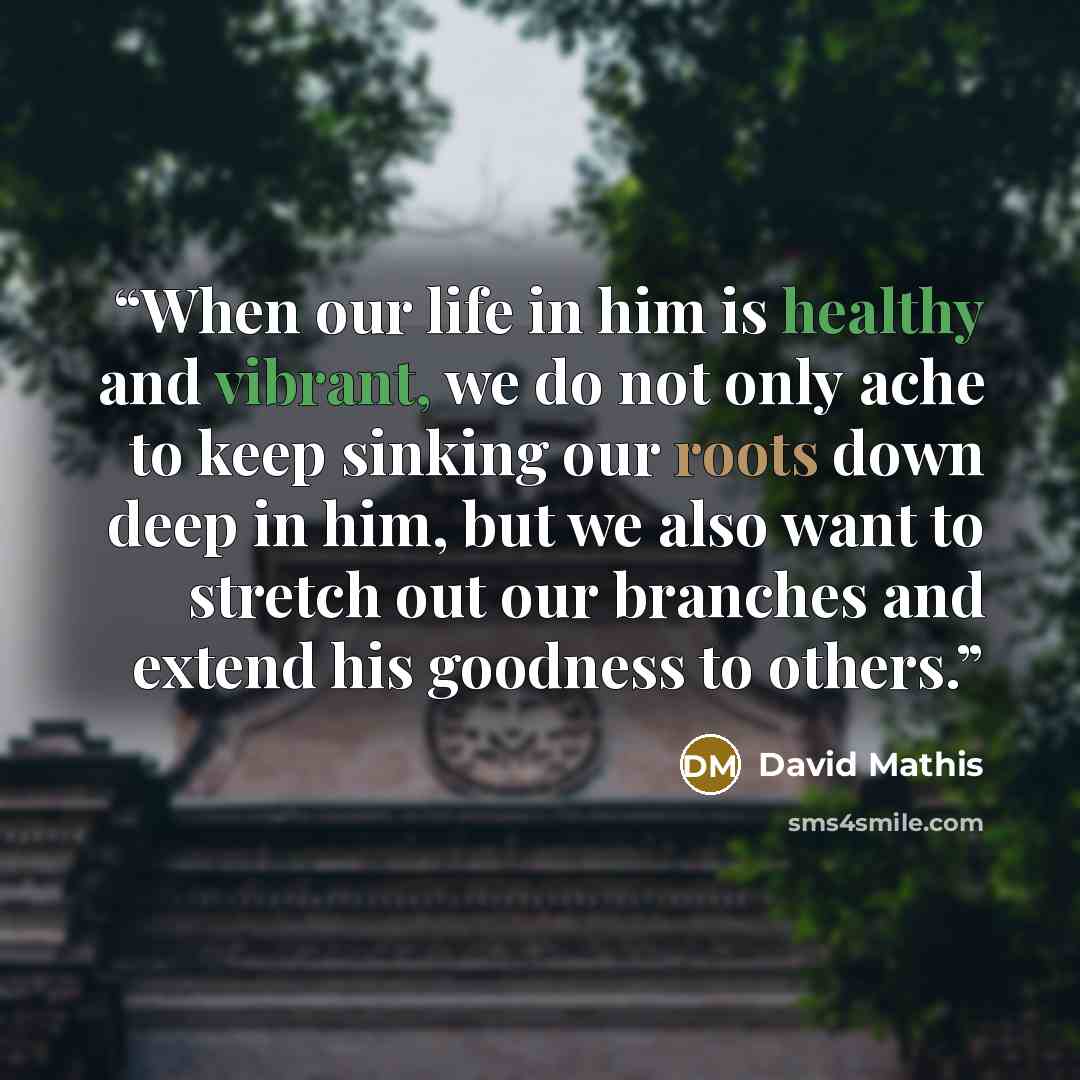 “When our life in him is healthy and vibrant, we do not only ache to keep sinking our roots down deep in him, but we also want to stretch out our branches and extend his goodness to others.” quote by David Mathis