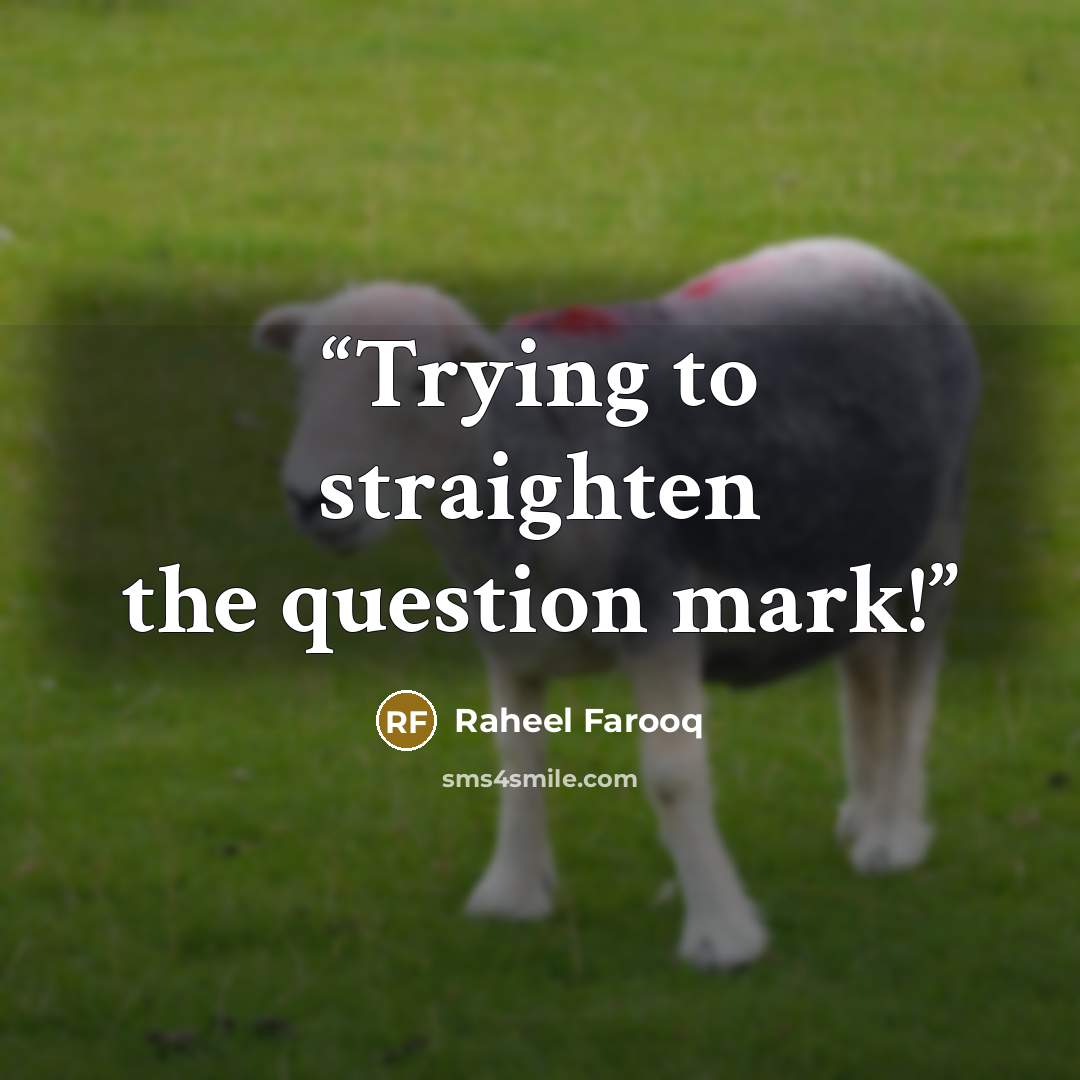 “Trying to straighten the question mark!” quote by Raheel Farooq