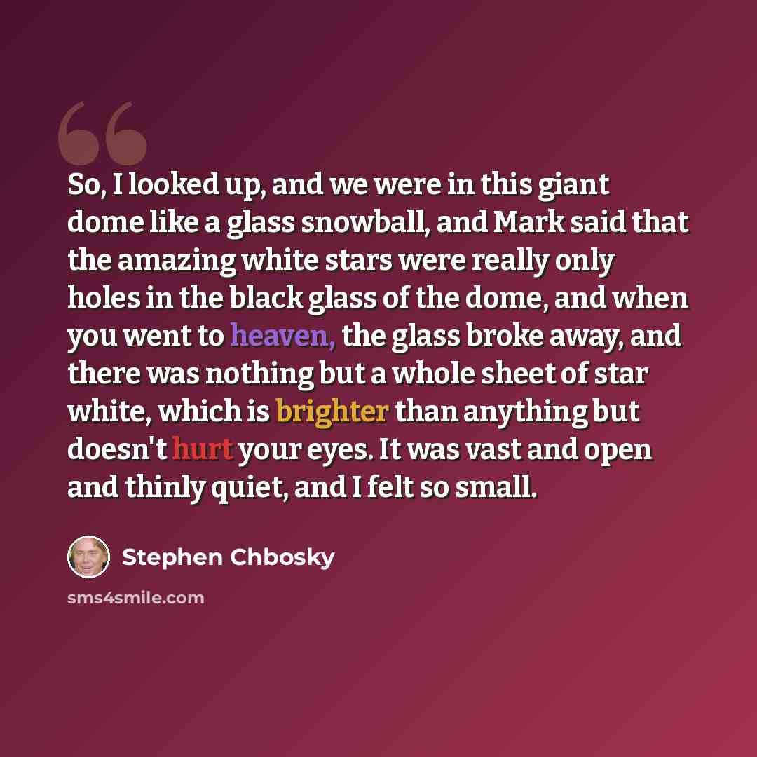 “So, I looked up, and we were in this giant dome like a glass snowball, and Mark said that the amazing white stars were really only holes in the black glass of the dome, and when you went to heaven, the glass broke away, and there was nothing but a whole sheet of star white, which is brighter than…” quote by Stephen Chbosky