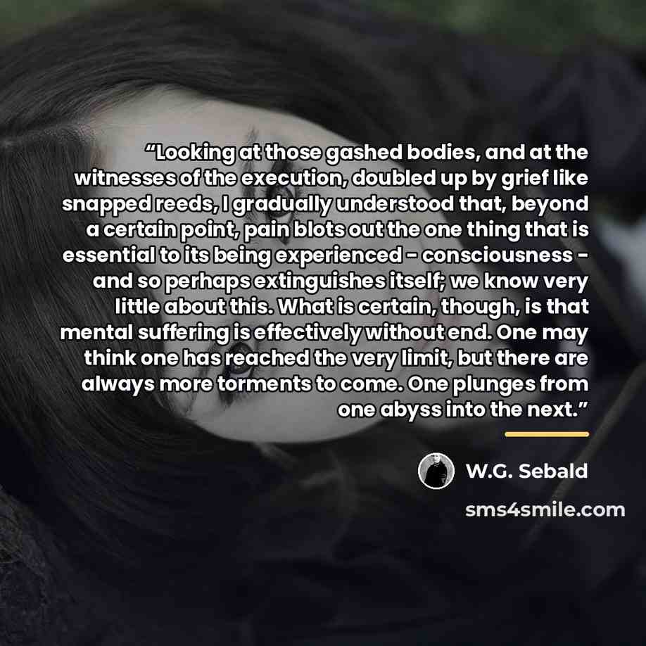 “Looking at those gashed bodies, and at the witnesses of the execution, doubled up by grief like snapped reeds, I gradually understood that, beyond a certain point, pain blots out the one thing that is essential to its being experienced - consciousness - and so perhaps extinguishes itself; we know…” quote by W.G. Sebald