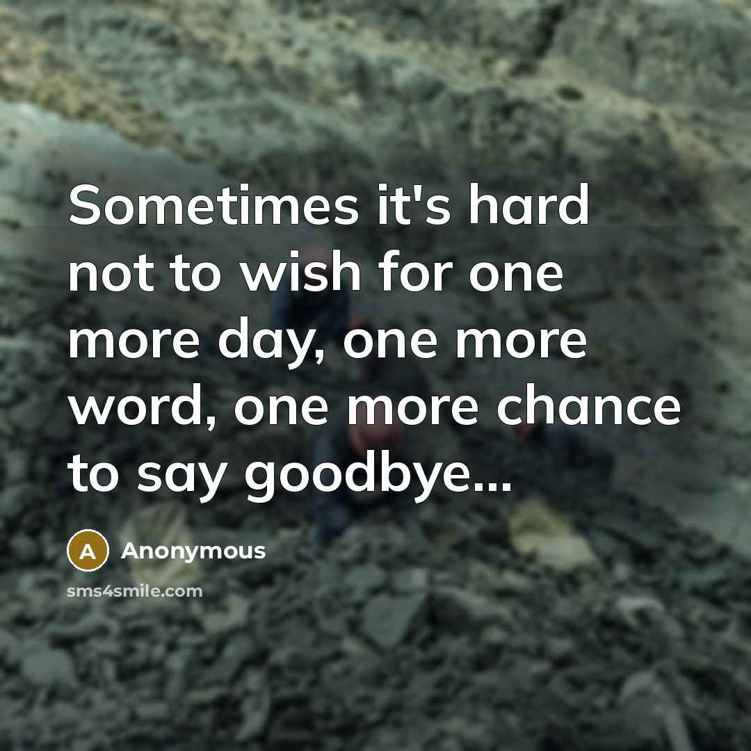 “Sometimes it's hard not to wish for one more day, one more word, one more chance to say goodbye...” quote by Anonymous