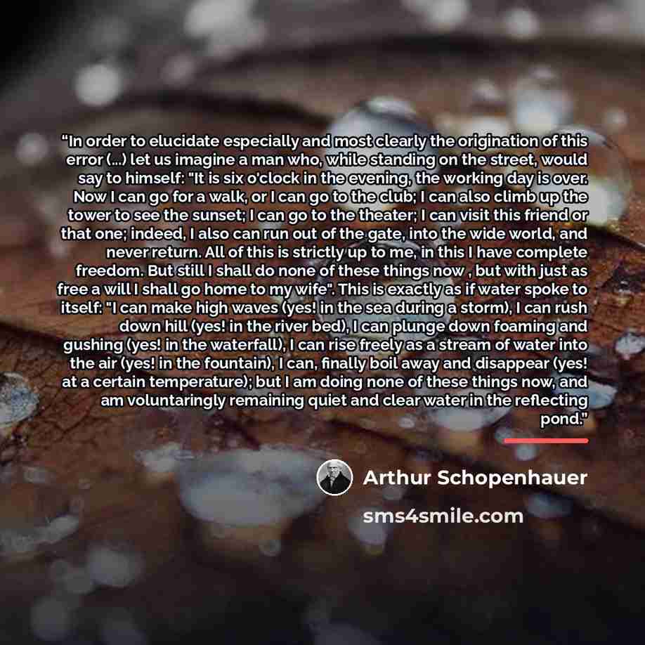 “In order to elucidate especially and most clearly the origination of this error (...) let us imagine a man who, while standing on the street, would say to himself: "It is six o'clock in the evening, the working day is over. Now I can go for a walk, or I can go to the club; I can also climb up the…” quote by Arthur Schopenhauer
