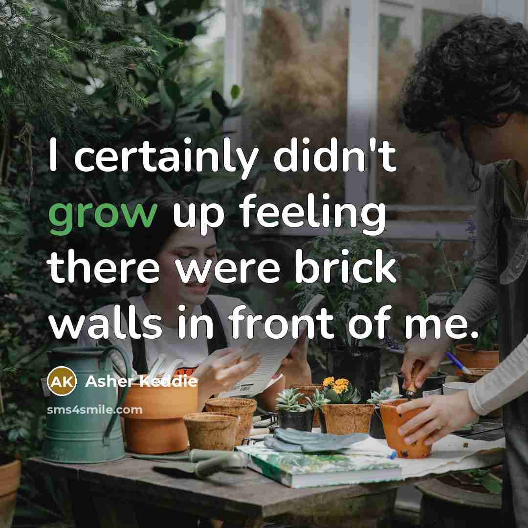 “I certainly didn't grow up feeling there were brick walls in front of me.” quote by Asher Keddie