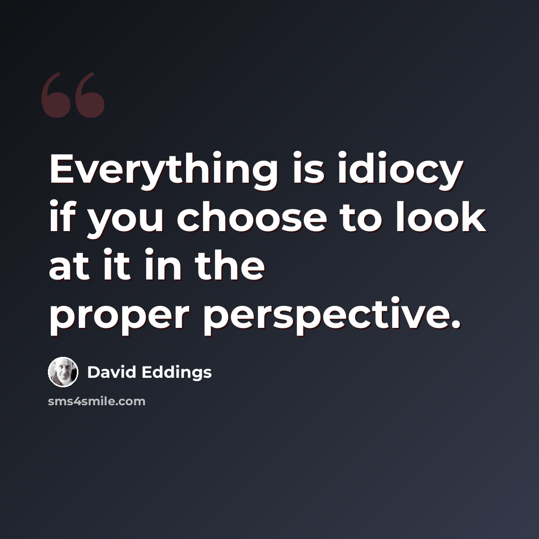 “Everything is idiocy if you choose to look at it in the proper perspective.” quote by David Eddings