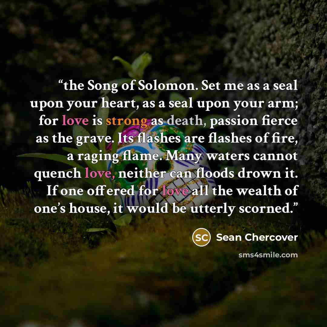 “the Song of Solomon. Set me as a seal upon your heart, as a seal upon your arm; for love is strong as death, passion fierce as the grave. Its flashes are flashes of fire, a raging flame. Many waters cannot quench love, neither can floods drown it. If one offered for love all the wealth of one’s…” quote by Sean Chercover