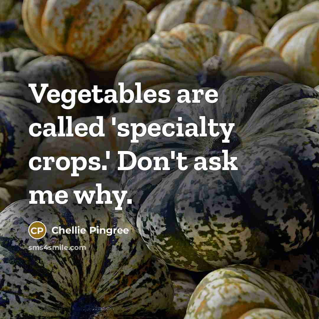 “Vegetables are called 'specialty crops.' Don't ask me why.” quote by Chellie Pingree
