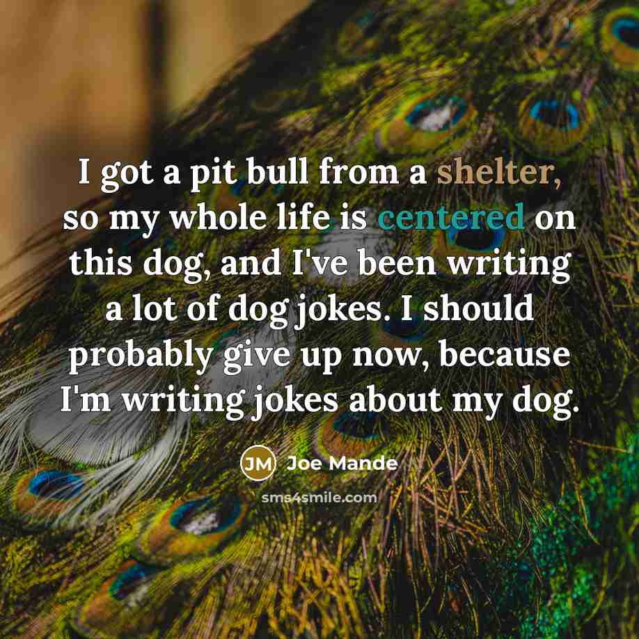 “I got a pit bull from a shelter, so my whole life is centered on this dog, and I've been writing a lot of dog jokes. I should probably give up now, because I'm writing jokes about my dog.” quote by Joe Mande