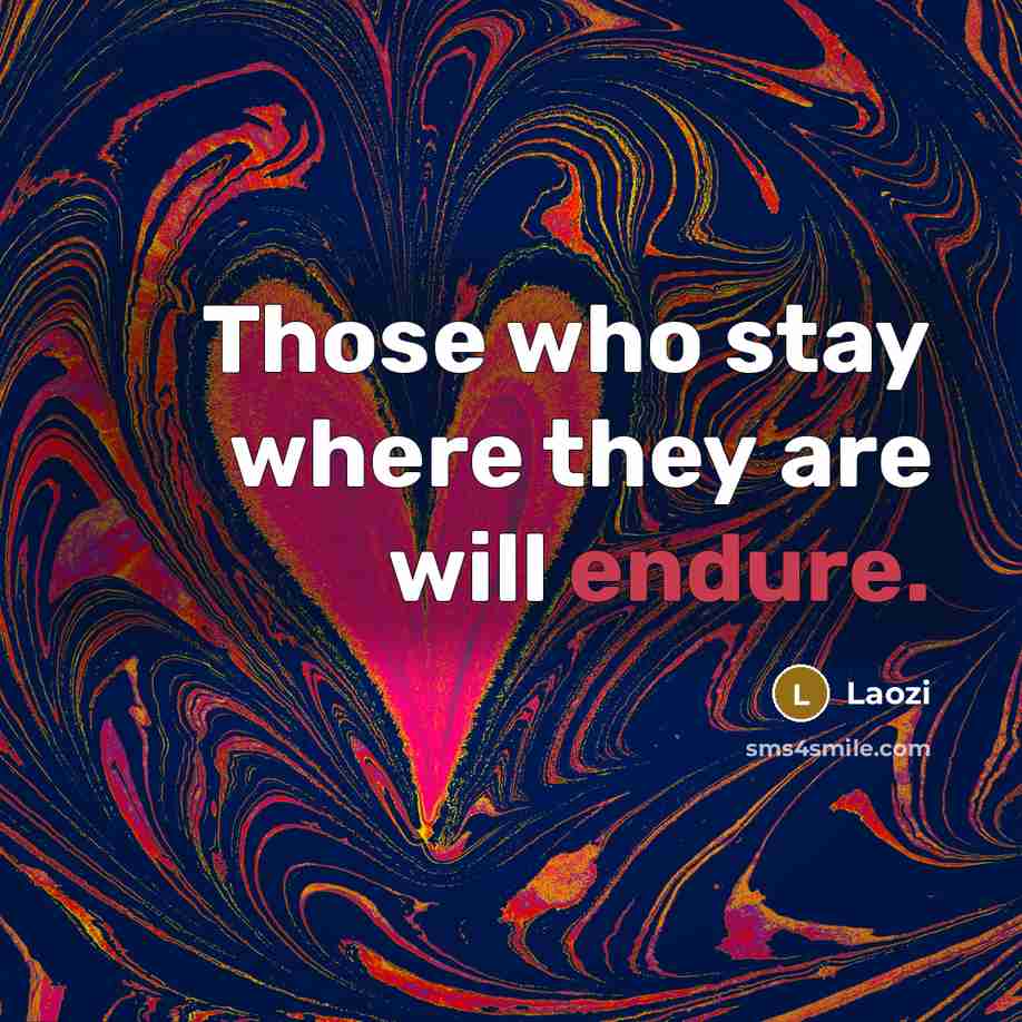 “Those who stay where they are will endure.” quote by Laozi