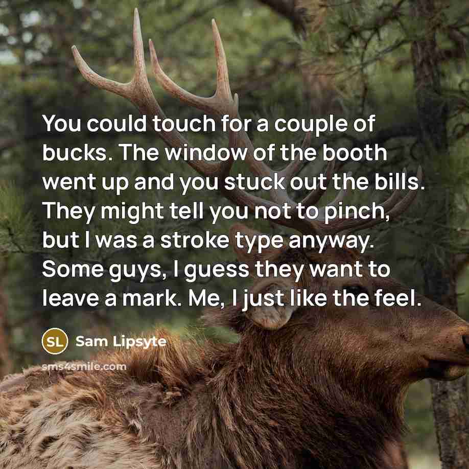 “You could touch for a couple of bucks. The window of the booth went up and you stuck out the bills. They might tell you not to pinch, but I was a stroke type anyway. Some guys, I guess they want to leave a mark. Me, I just like the feel.” quote by Sam Lipsyte