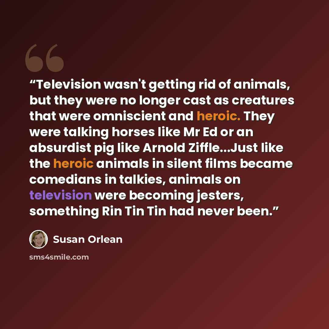 “Television wasn't getting rid of animals, but they were no longer cast as creatures that were omniscient and heroic. They were talking horses like Mr Ed or an absurdist pig like Arnold Ziffle...Just like the heroic animals in silent films became comedians in talkies, animals on television were…” quote by Susan Orlean