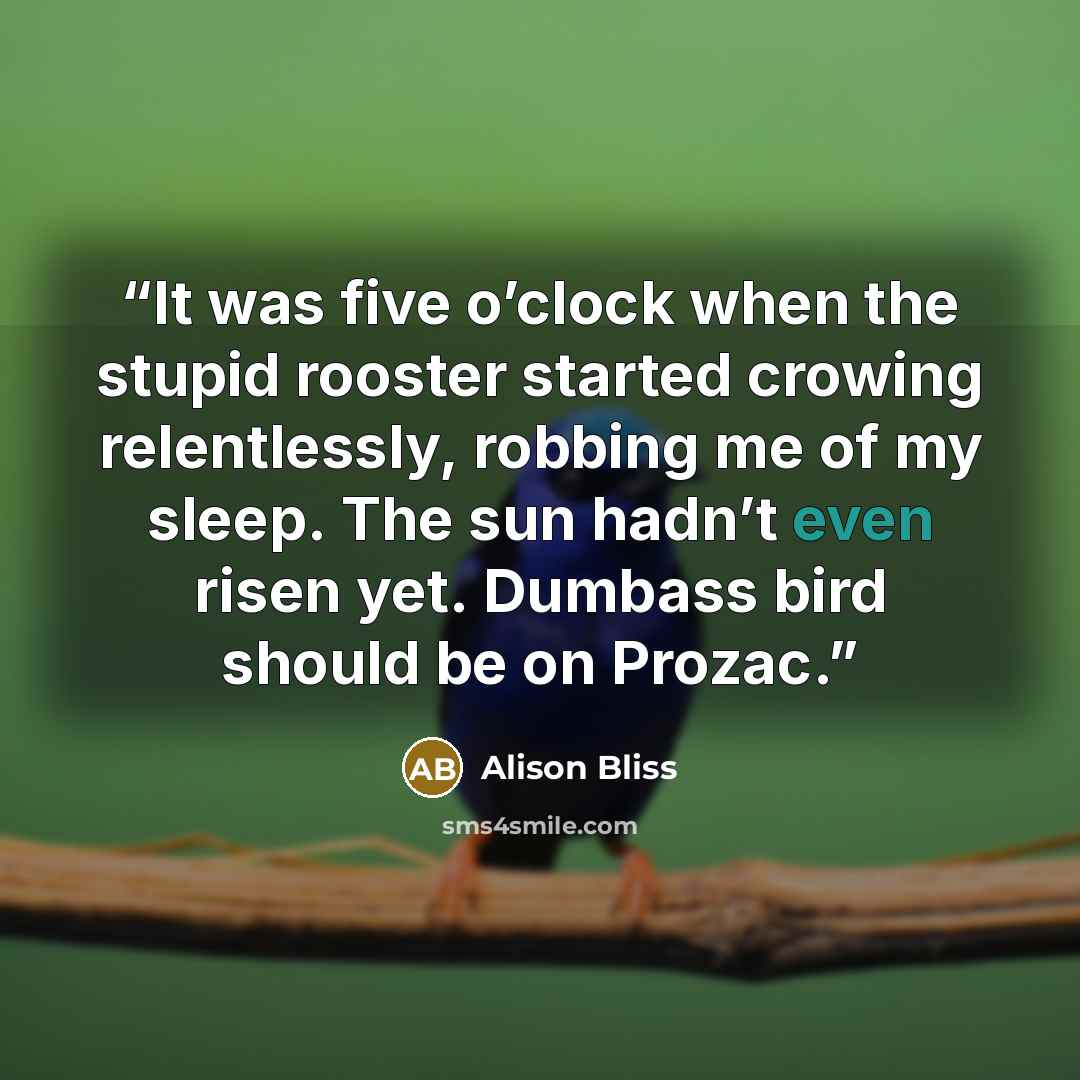 “It was five o’clock when the stupid rooster started crowing relentlessly, robbing me of my sleep. The sun hadn’t even risen yet. Dumbass bird should be on Prozac.” quote by Alison Bliss