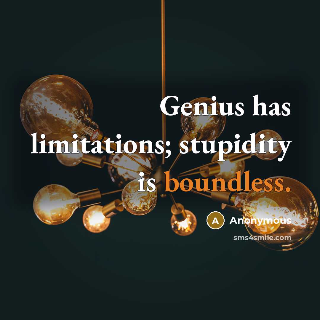 “Genius has limitations; stupidity is boundless.” quote by Anonymous