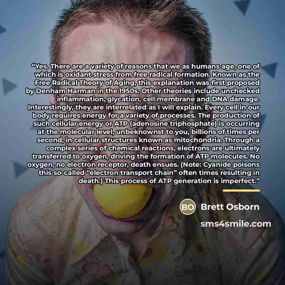 “Yes. There are a variety of reasons that we as humans age, one of which is oxidant stress from free radical formation. Known as the Free Radical Theory of Aging, this explanation was first proposed by Denham Harman in the 1950s. Other theories include unchecked inflammation, glycation, cell…” quote by Brett Osborn