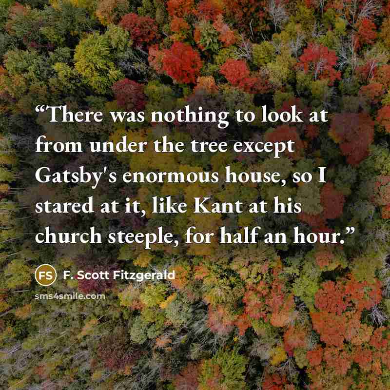 “There was nothing to look at from under the tree except Gatsby's enormous house, so I stared at it, like Kant at his church steeple, for half an hour.” quote by F. Scott Fitzgerald