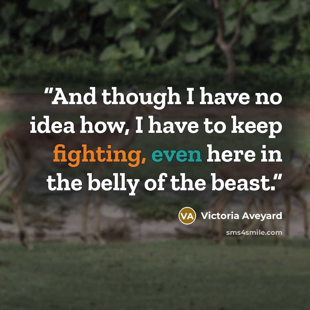 “And though I have no idea how, I have to keep fighting, even here in the belly of the beast.” quote by Victoria Aveyard