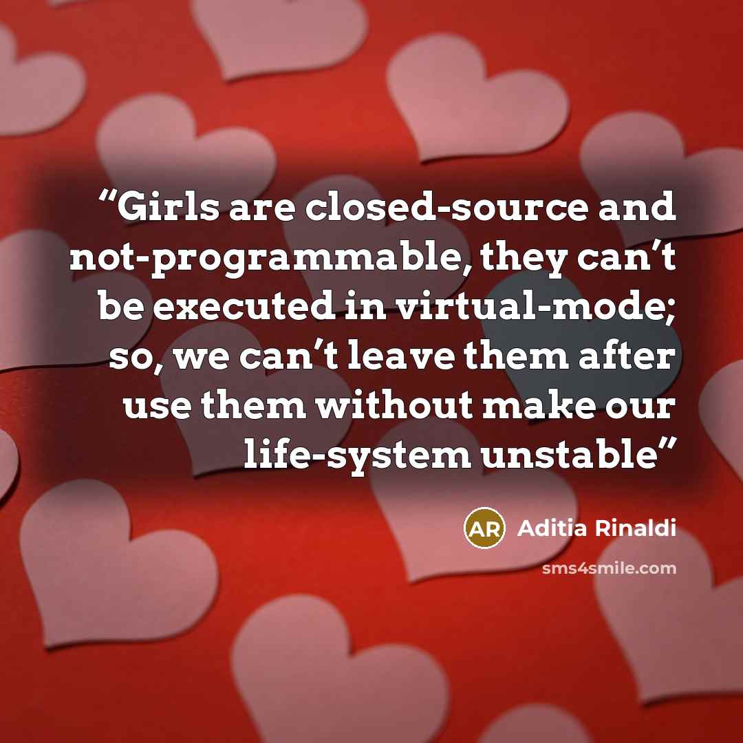 “Girls are closed-source and not-programmable, they can’t be executed in virtual-mode; so, we can’t leave them after use them without make our life-system unstable” quote by Aditia Rinaldi