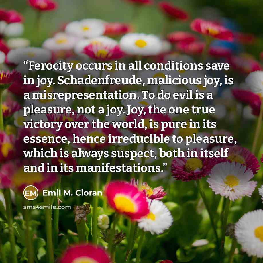 “Ferocity occurs in all conditions save in joy. Schadenfreude, malicious joy, is a misrepresentation. To do evil is a pleasure, not a joy. Joy, the one true victory over the world, is pure in its essence, hence irreducible to pleasure, which is always suspect, both in itself and in its…” quote by Emil M. Cioran