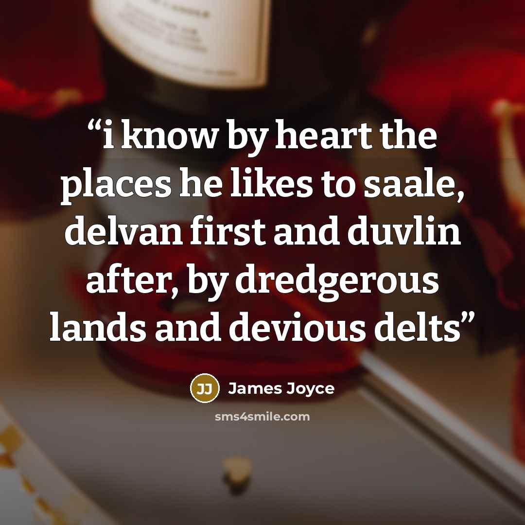 “i know by heart the places he likes to saale, delvan first and duvlin after, by dredgerous lands and devious delts” quote by James Joyce