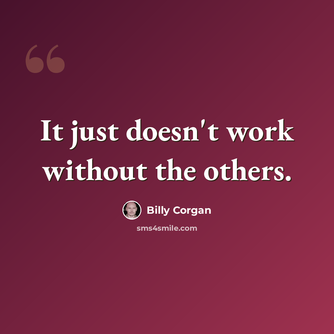 “It just doesn't work without the others.” quote by Billy Corgan
