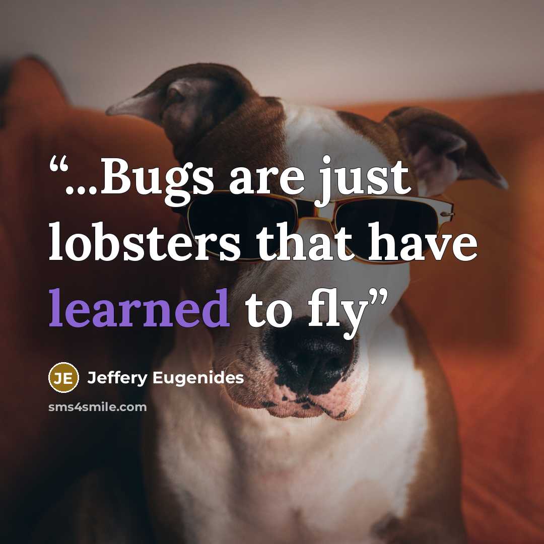 “...Bugs are just lobsters that have learned to fly” quote by Jeffery Eugenides
