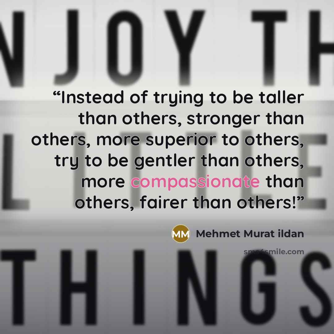 “Instead of trying to be taller than others, stronger than others, more superior to others, try to be gentler than others, more compassionate than others, fairer than others!” quote by Mehmet Murat ildan