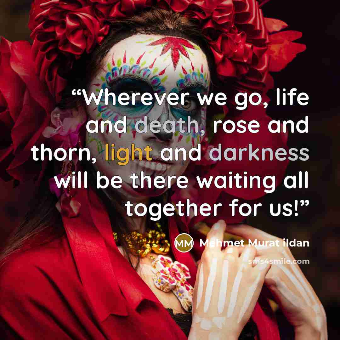 “Wherever we go, life and death, rose and thorn, light and darkness will be there waiting all together for us!” quote by Mehmet Murat ildan