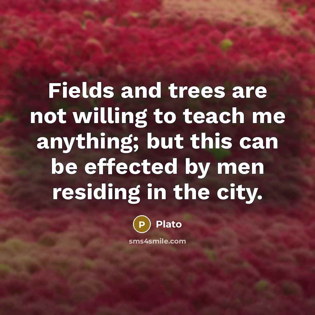 “Fields and trees are not willing to teach me anything; but this can be effected by men residing in the city.” quote by Plato