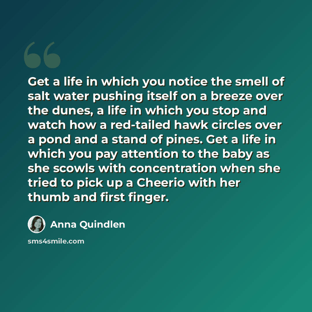 “Get a life in which you notice the smell of salt water pushing itself on a breeze over the dunes, a life in which you stop and watch how a red-tailed hawk circles over a pond and a stand of pines. Get a life in which you pay attention to the baby as she scowls with concentration when she tried to…” quote by Anna Quindlen