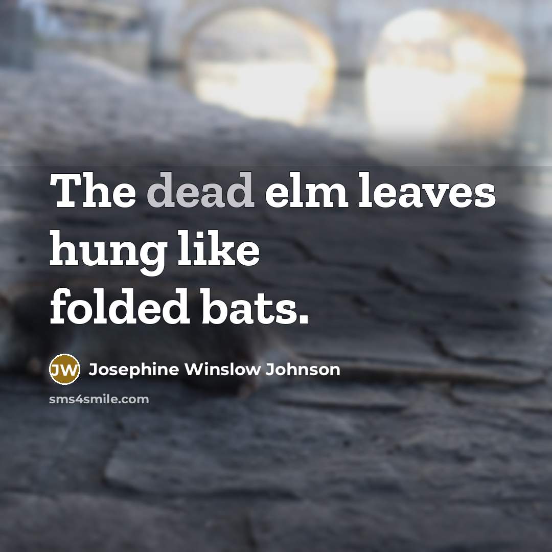 “The dead elm leaves hung like folded bats.” quote by Josephine Winslow Johnson