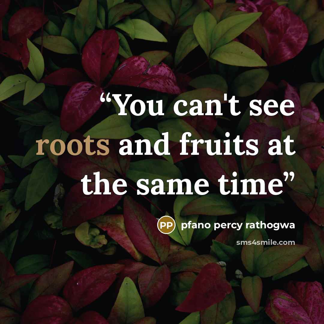 “You can't see roots and fruits at the same time” quote by pfano percy rathogwa