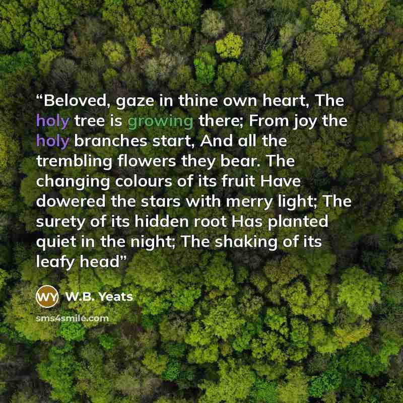 “Beloved, gaze in thine own heart, The holy tree is growing there; From joy the holy branches start, And all the trembling flowers they bear. The changing colours of its fruit Have dowered the stars with merry light; The surety of its hidden root Has planted quiet in the night; The shaking of its…” quote by W.B. Yeats