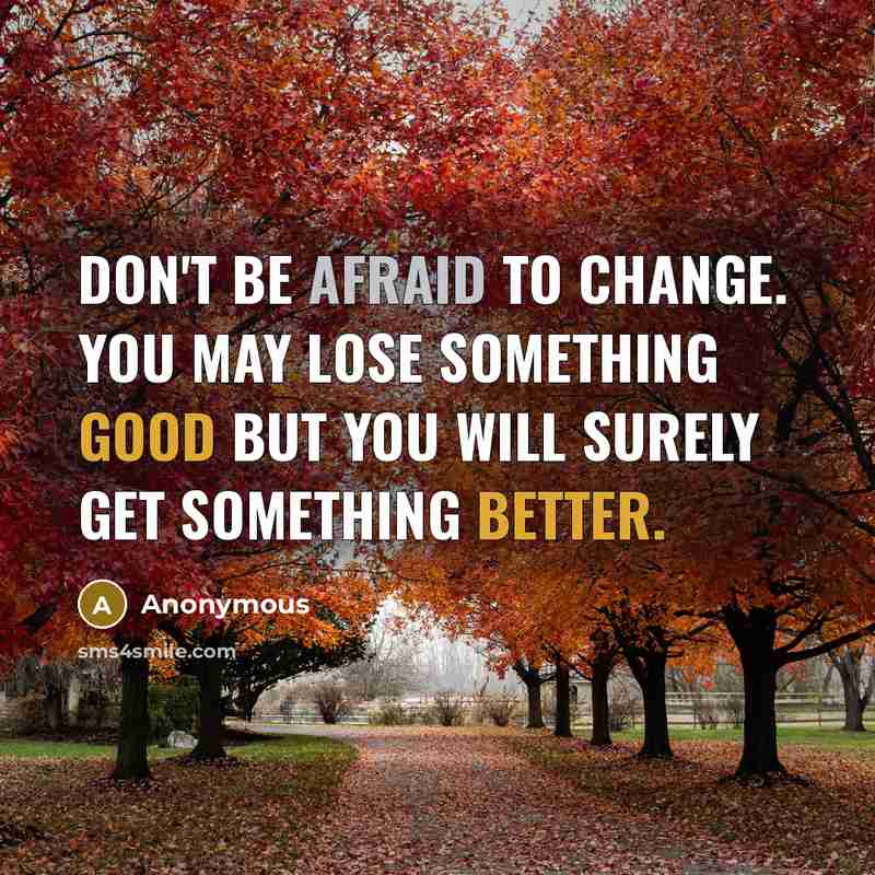 “Don't be afraid to change. You may lose something good but you will surely get something better.” quote by Anonymous