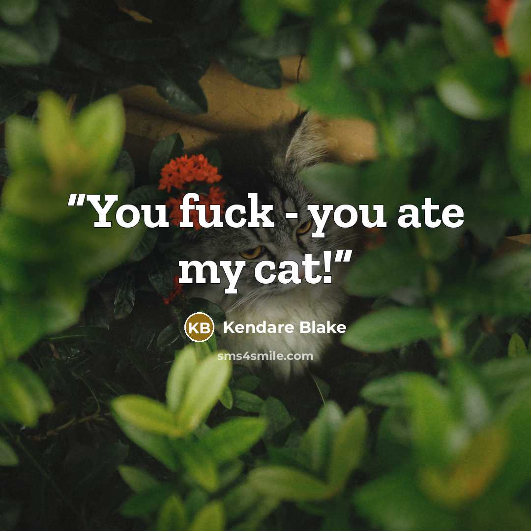 “You fuck - you ate my cat!” quote by Kendare Blake